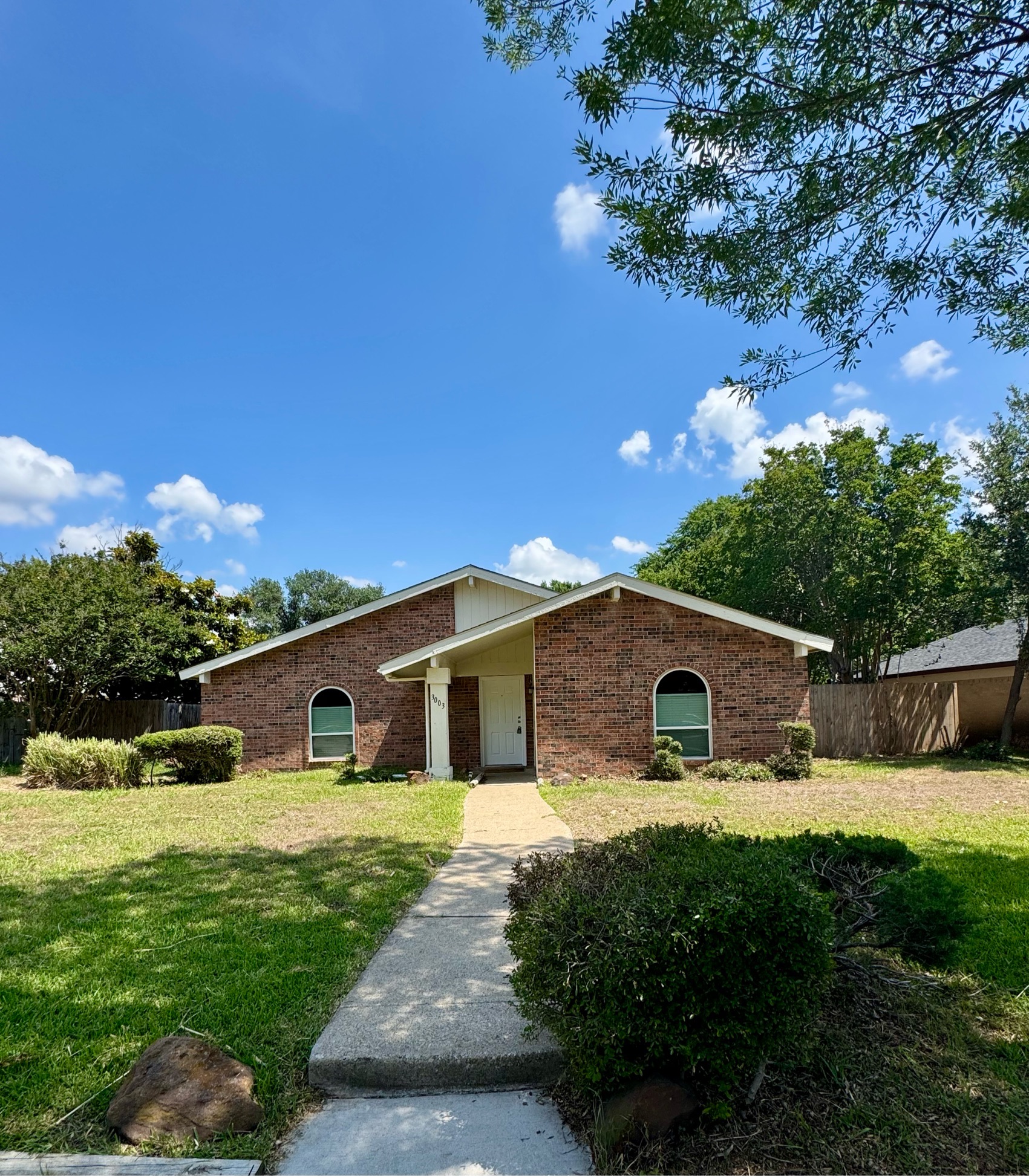 3003 Lemmontree Lane